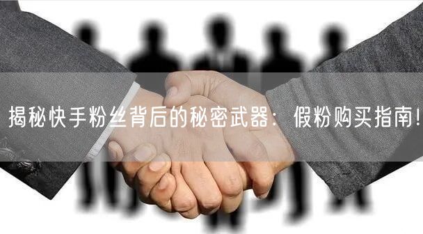 揭秘快手粉丝背后的秘密武器：假粉购买指南！