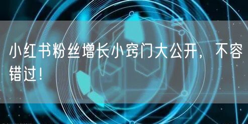 小红书粉丝增长小窍门大公开，不容错过！